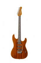 Godin Passion Rg3 Mahogany Rn + Etui