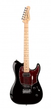 Godin Session Custom