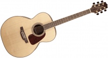 Takamine Gn93 Natural Auditorium
