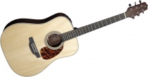 Takamine Series Speciales Dreadnought Electro