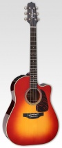 Takamine Series Speciales Dreadnought Cutaway Electro
