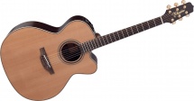Takamine Dn25c