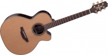 Takamine Dn45c