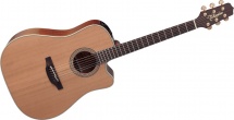 Takamine En10c