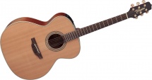 Takamine En20