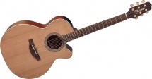 Takamine En40c
