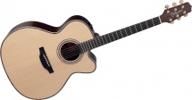 Takamine Tn28c