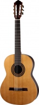 Hofner Hz27