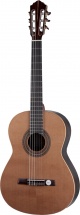 Hofner Hz28