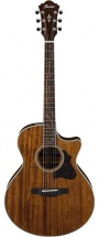 Ibanez Ae500 Nt
