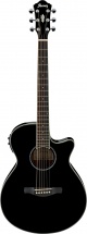 Ibanez Aeg10iiebk Noire