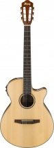 Ibanez Aeg10nii-nt - Cordes Nylon - Naturelle