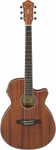 Ibanez Aeg8emh Open Pores Natural