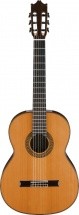Ibanez G500-nt - Naturelle