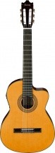 Ibanez Ga6ce-am Ambre