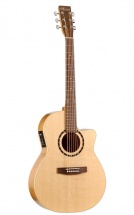 Norman Encore B20 Cw Folk Presys Avec Housse