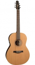 Seagull S6+ Gtq - (systeme Qantum Epm)