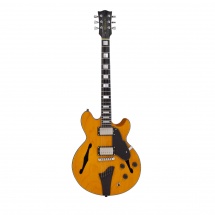 Fret King Black Label Fkv3 John Etheridge Signature Model