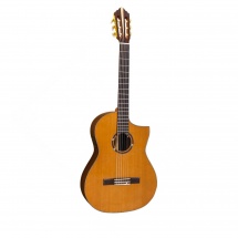Vintage Guitars Ve9000rw