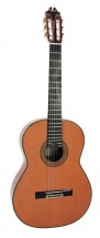 Juan Hernandez Luthier + Etui