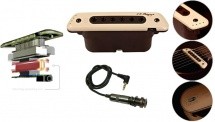 Lr Baggs M80