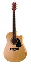 Maton Cw80c