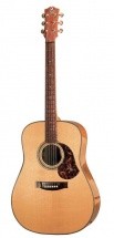 Maton Ea80