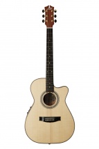 Maton Ebg808c