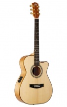 Maton Ebg808c Mic Fix