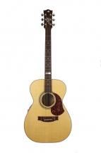 Maton Ebg808te