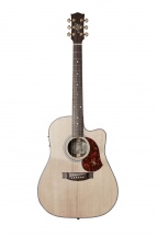 Maton Er90c + Etui