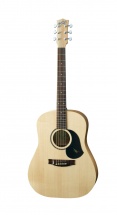 Maton S60 + Etui