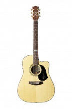 Maton Te-1
