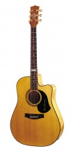 Maton Te2 Tommy Emmanuel + Etui