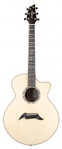 Breedlove Masterclass Audit Cw Lr Baggs