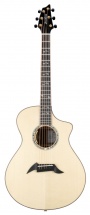 Breedlove Masterclass Concert Cw Lrbaggs