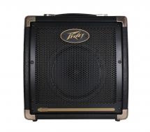 Peavey Ecoustic E20
