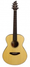 Breedlove Ppt21 Passport Traveler