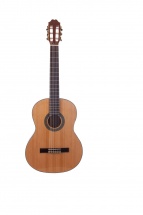 Prodipe Guitars Starter Primera 4/4