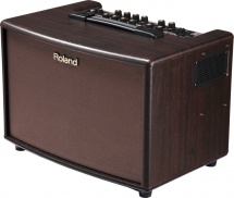 Roland Ac-60rw