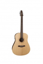 Seagull Excursion Walnut Isys +