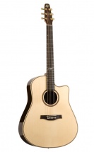 Seagull Artist Studio Cw Deluxe Element Hg + Etui Tric
