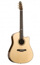 Seagull Artist Peppino Signature Cw Element Hg + Etui Tric