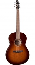Seagull Guitare Entourage Folk Burnt Umber Qit