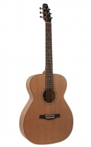 Seagull S6 Cedar Concert Hall + Housse