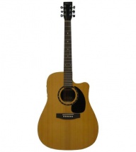 Norman B18ce B18 Cw Presys Serie Protege Cutaway