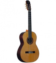 Prudencio Saez Concert 138