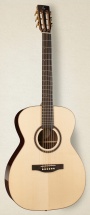 Simon and Patrick Showcase Rosewood Concert Hall A6t + Etui Tric
