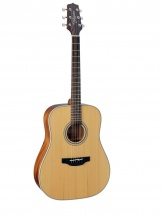 Fender Gd20 Natural