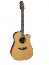 Takamine Ec P3dc Dreadnought Cutaway